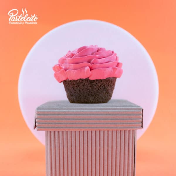 Cupcakes-chocolate-rosa